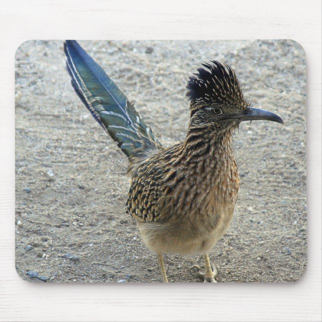 Tapis De Souris Roadrunner (Devant)