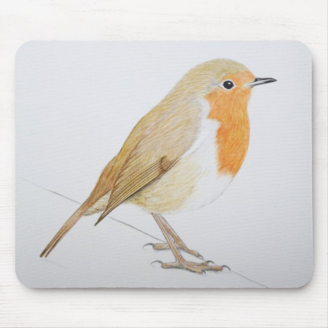 Tapis De Souris Robin 2011 (Devant)