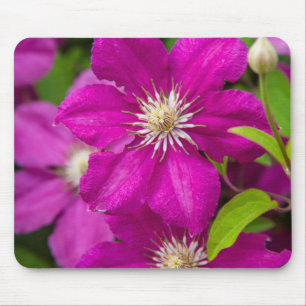 Tapis De Souris Robinette's Apple Haus and Gift Barn 2