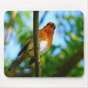 TAPIS DE SOURIS ROBINS