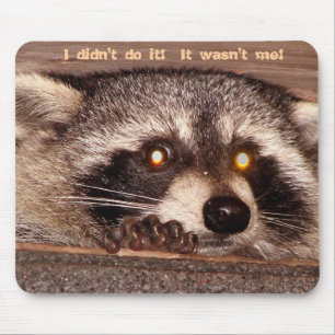 Tapis De Souris Rocheux, je ne l'ai pas fait !  Il n'était pas mo