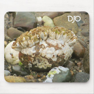 Tapis De Souris Rock de plage de Barnacle Mohawk