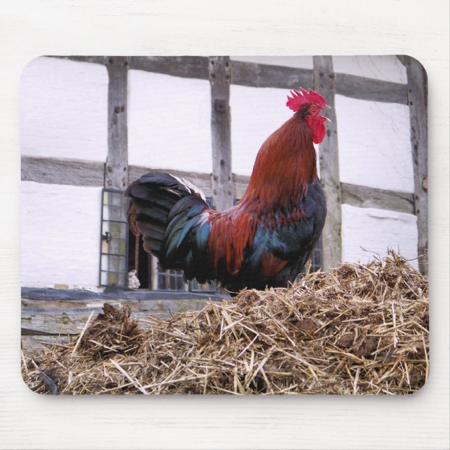 TAPIS DE SOURIS ROOSTER (Devant)