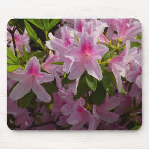 Tapis De Souris Rose Azalea Bush printemps floral
