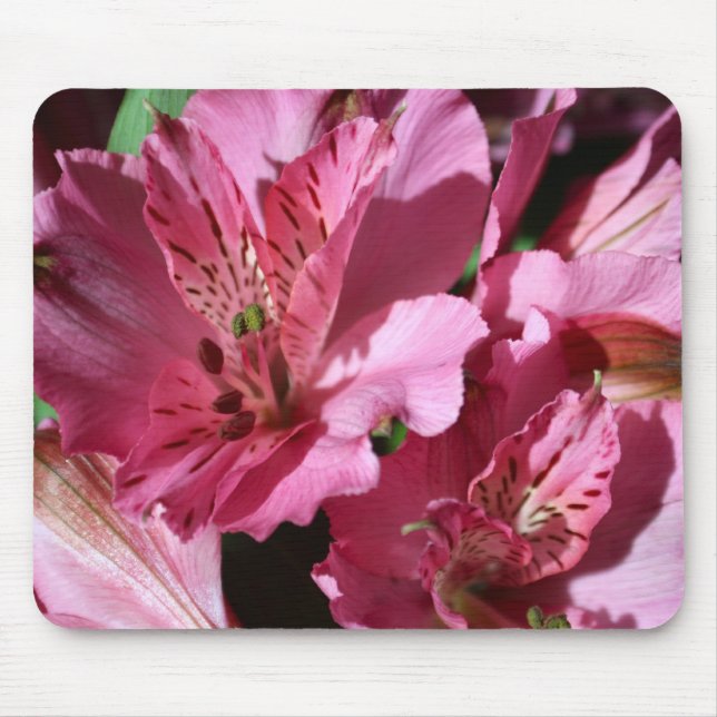 Tapis de souris rose de fleur d'Alstroemeria (Devant)