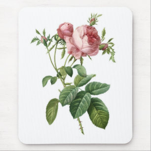 Tapis De Souris Rose de rose
