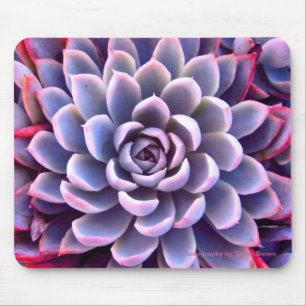 Tapis De Souris Rose et Mousepad succulent pourpre