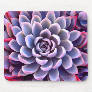 Tapis De Souris Rose et Mousepad succulent pourpre