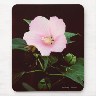 Tapis De Souris Rose Mallow Mousepad