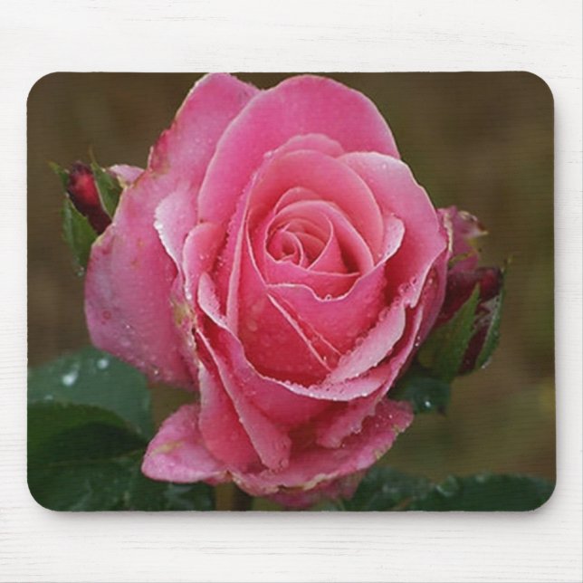 Tapis De Souris Rose Mousepad de rose (Devant)