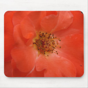 Tapis De Souris Rose orange