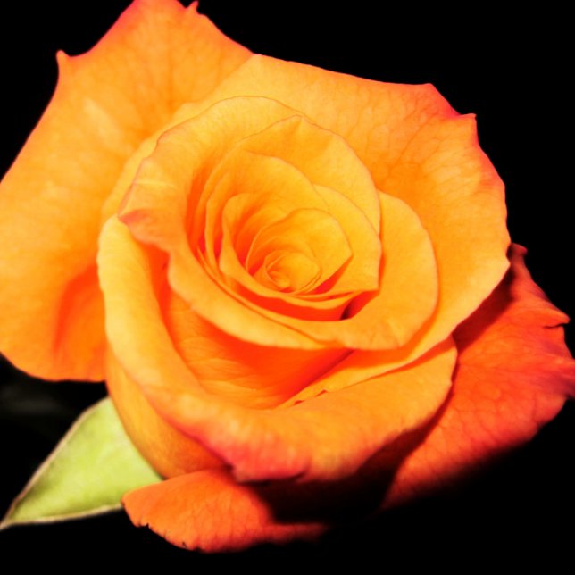 Tapis De Souris Rose orange clair (Créateur téléchargé)