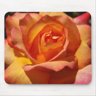 Tapis De Souris Rose orange et rose