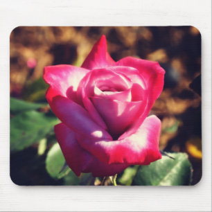 Tapis De Souris Rose rose au soleil levant
