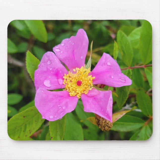Tapis De Souris Rose sauvage avec Dew Drops Mousepad (Devant)