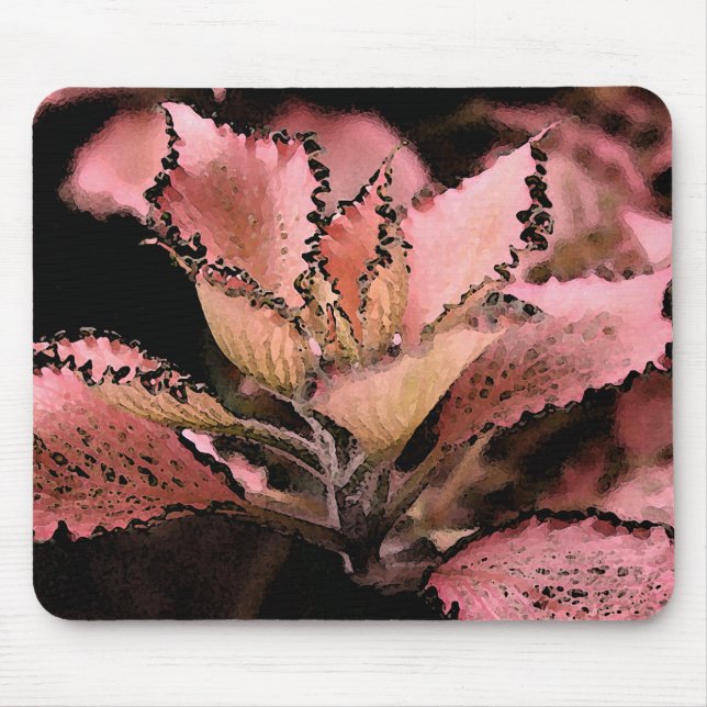 Tapis De Souris Rose Star d'argynoneura de Fittonia ' (Devant)