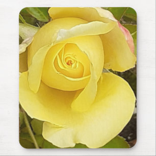 Tapis De Souris Rosebud jaune