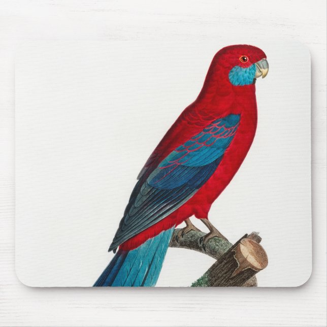 Tapis De Souris Rosella Parrots (Devant)