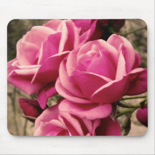 Tapis De Souris Roses roses de pirouette