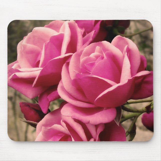 Tapis De Souris Roses roses de pirouette (Devant)