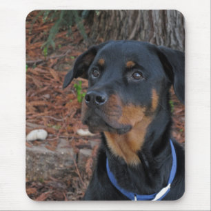 Tapis De Souris Rottweiler par Redwood Tree Souse Pad
