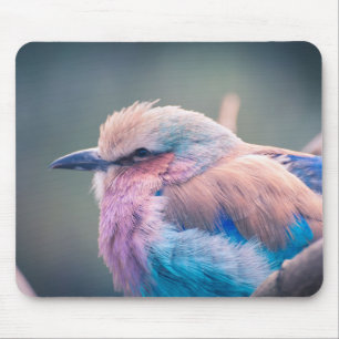 Tapis De Souris Rouleau sud-africain de Lilas-Breasted