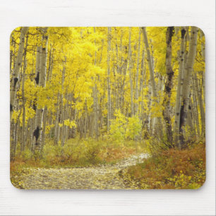Tapis De Souris Route avec couleurs d'automne et trembles dans Keb