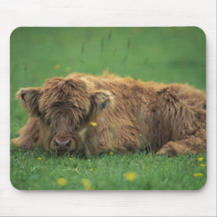 Tapis De Souris Royaume-Uni, Écosse. Calvaire des Highlands