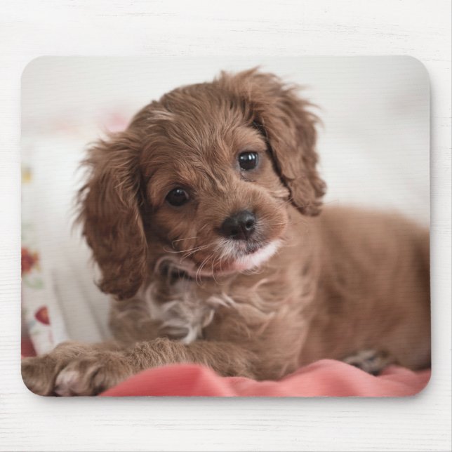 Tapis De Souris Ruby Cavapoo Chien chiot (Devant)