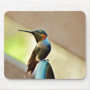 Tapis De Souris Ruby perché et petit colibri vert