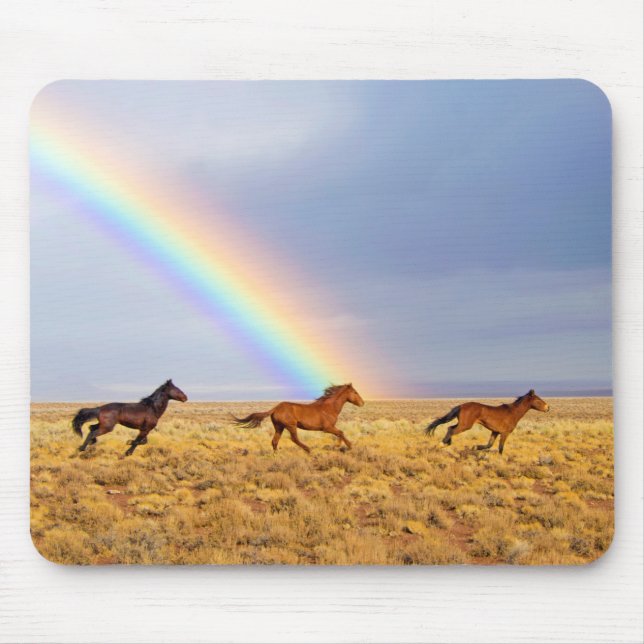Tapis De Souris Running and Rainbow (Devant)
