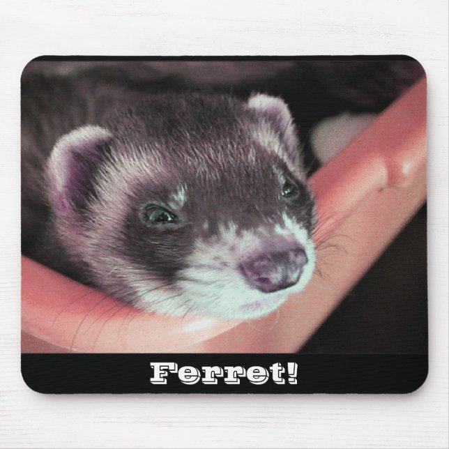 Tapis De Souris Sable ferret mousepad (Devant)