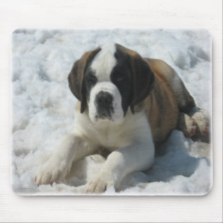 Tapis De Souris Saint_mousepad
