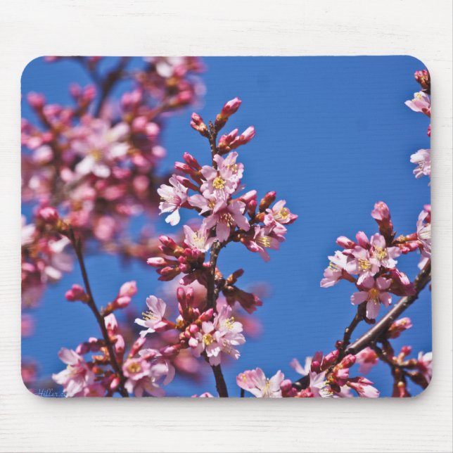 Tapis De Souris Sakura Cerry Blossoms Touché Bleu (Devant)