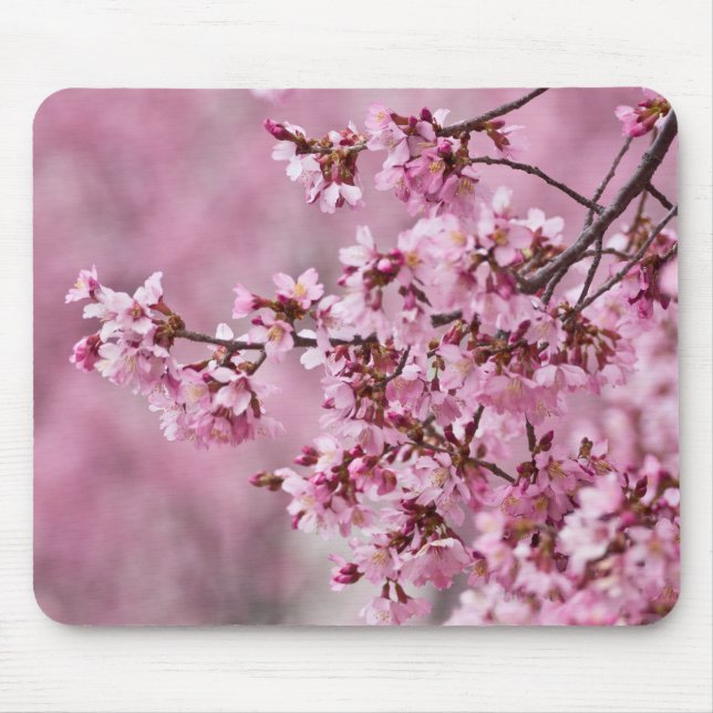 Tapis De Souris Sakura Cherry Blossoms Pastel Pink Layers (Devant)