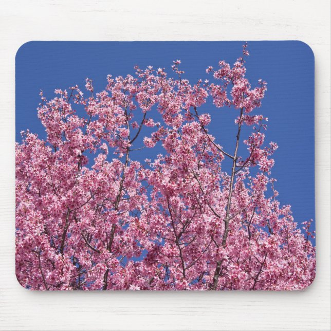 Tapis De Souris Sakura Cherry Fleurit Dans Le Bleu (Devant)