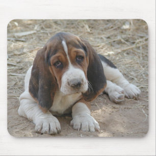 Tapis de souris sale de chiot