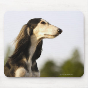 Tapis De Souris Saluki 2