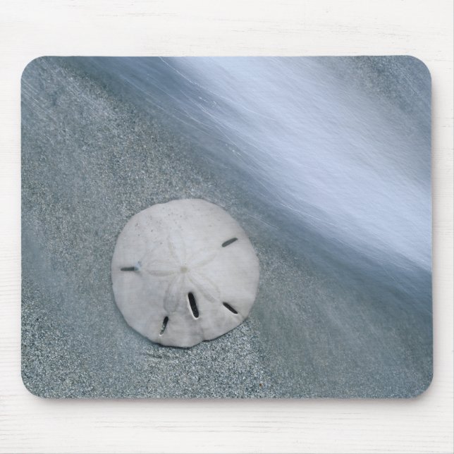 Tapis De Souris Sanddollar sur la plage| Île de Sanibel, Floride (Devant)
