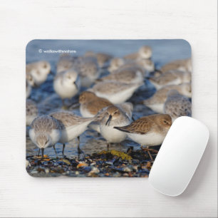 Tapis De Souris Sanderling mignon de Dunlins à la plage
