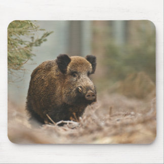 Tapis De Souris Sanglier !! Wild Boar !!!