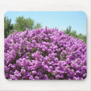 Tapis De Souris Sauge de floraison Mousepad du Texas