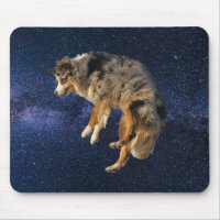 Saut spatial de chien Berger Australien