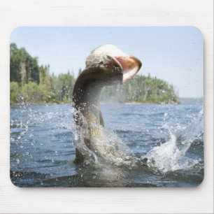 Tapis De Souris Sauter de Pike du nord de l'eau dans un lac