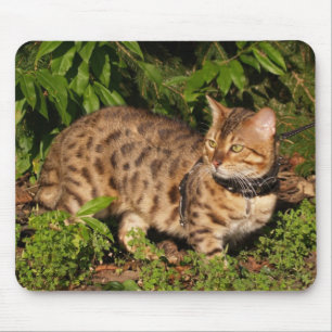 Tapis De Souris Savannah Chat Mousepad