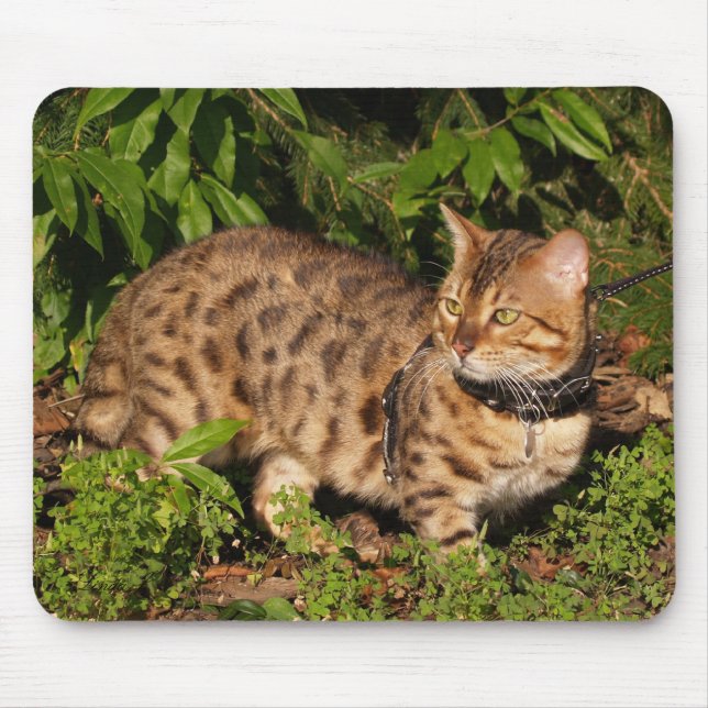 Tapis De Souris Savannah Chat Mousepad (Devant)