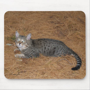 Tapis De Souris Savannah Chat Mousepad