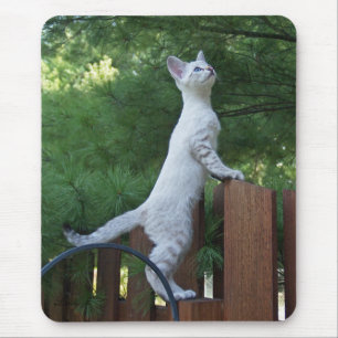 Tapis De Souris Savannah Chat Mousepad