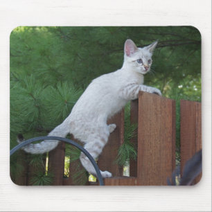 Tapis De Souris Savannah Chat Mousepad