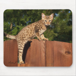 Tapis De Souris Savannah Chat Mousepad